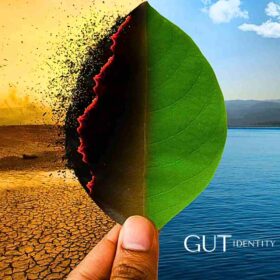 Coeliac Disease and Gut Health by Gutidentity