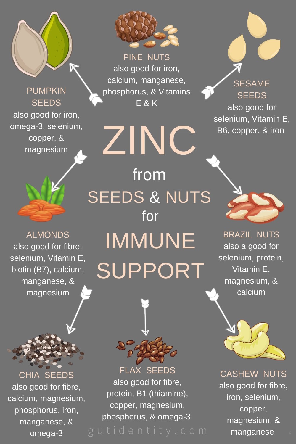Zinc from Seeds and Nuts for Immune Support by Gutidentity