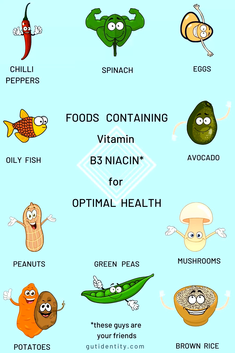 B3 Niacin foods for gut health