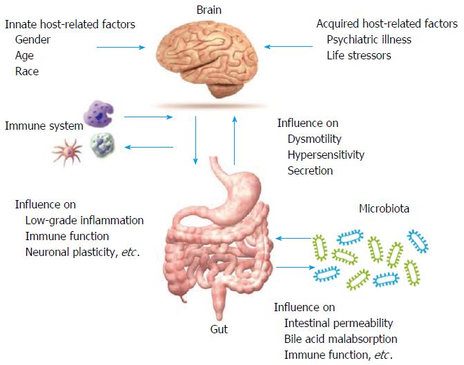connection between the gut and the brain in IBS