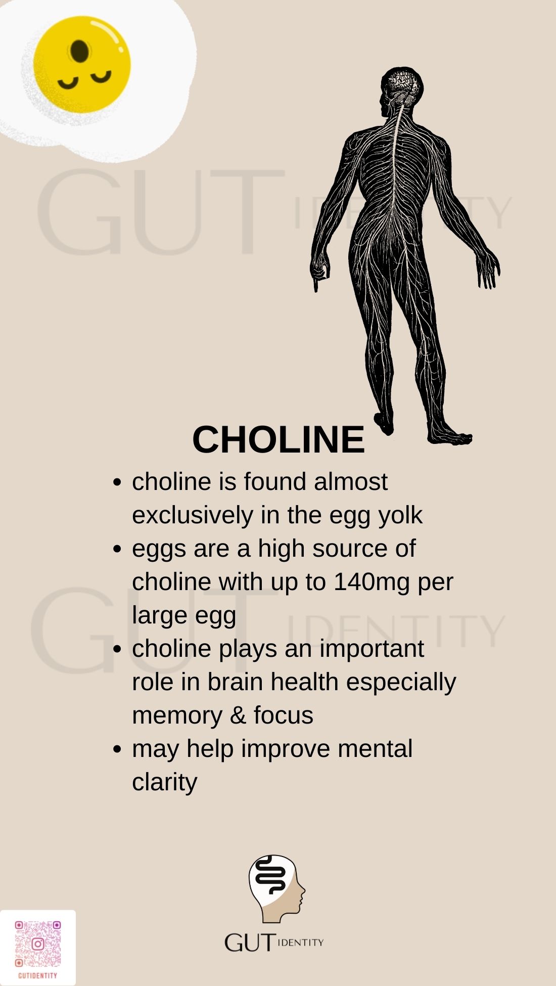 Eating Eggs for Choline by Gutidentity