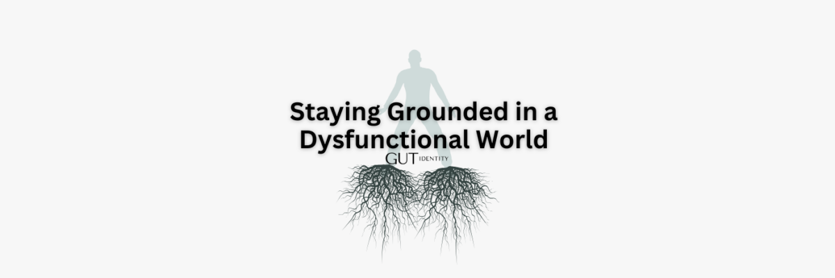 Staying Grounded in a Dysfunctional World