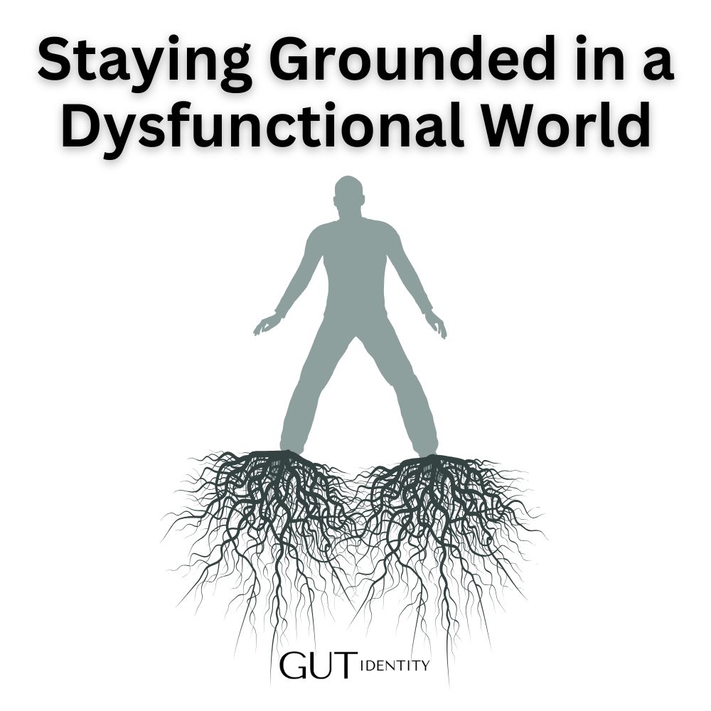 Staying Grounded in a Dysfunctional World