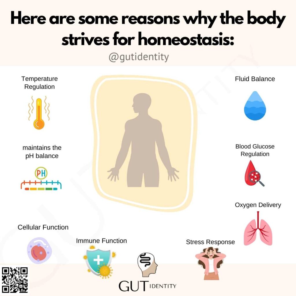 Here are some reasons why the body strives for homeostasis by Gutidentity